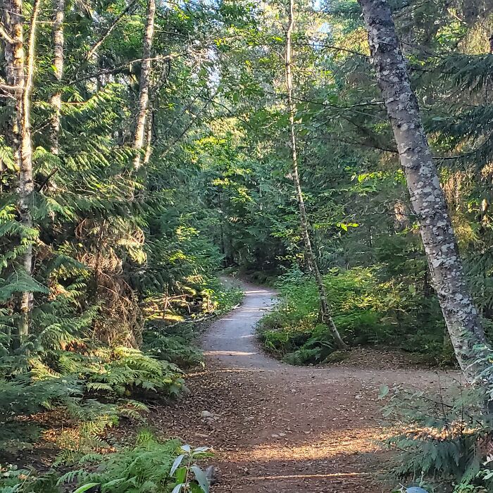 Top 10 Unique Things To See While Visiting The Upper West Coast (30 Pics)