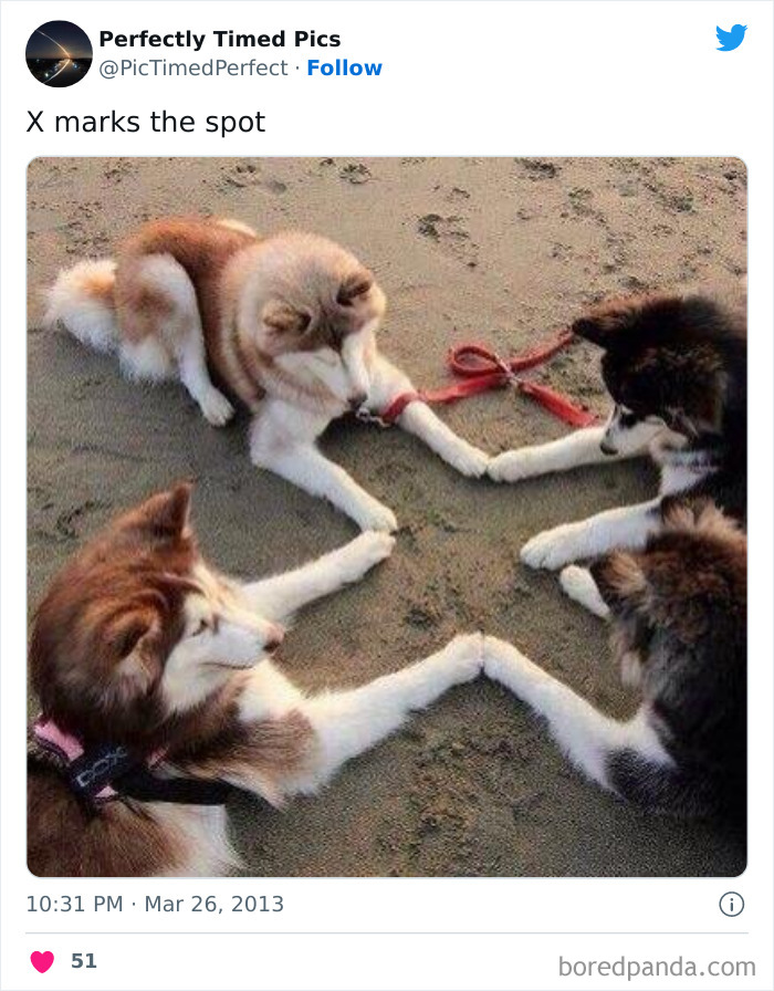 Perfectly-Timed-Pics