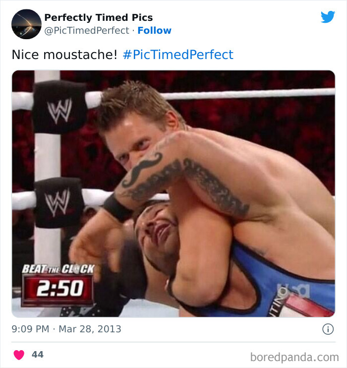 Perfectly-Timed-Pics