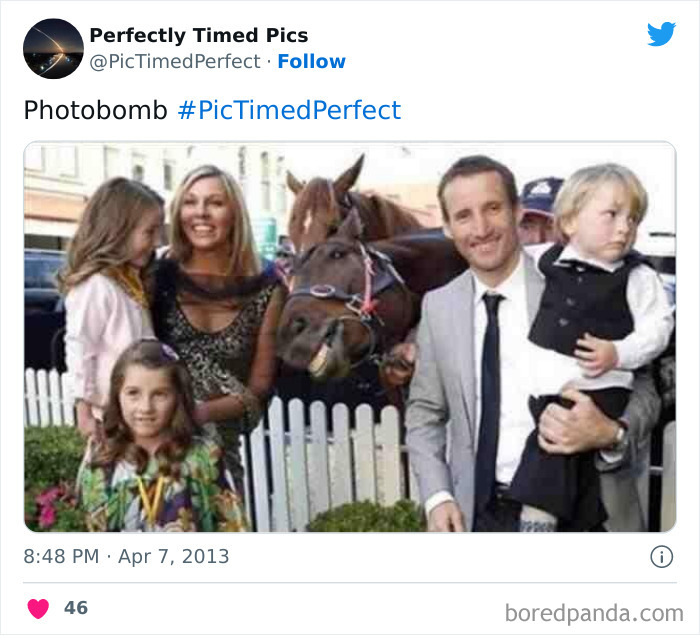 Perfectly-Timed-Pics