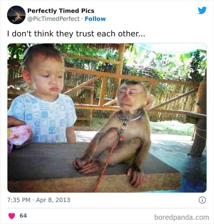 Perfectly-Timed-Pics