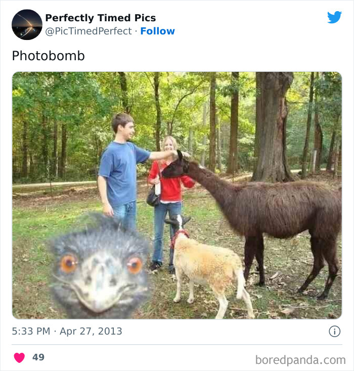 Perfectly-Timed-Pics