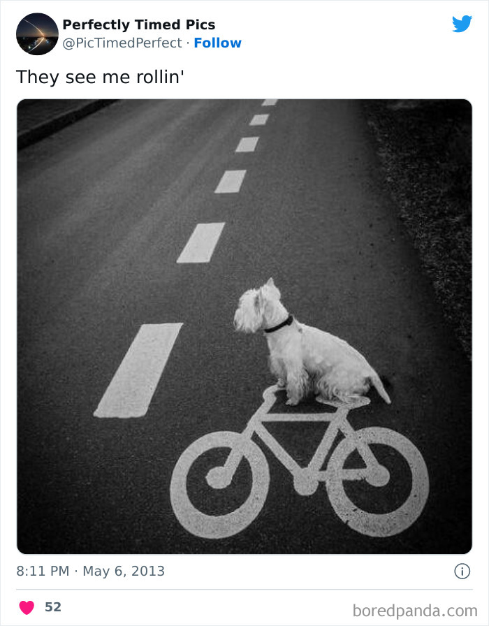 Perfectly-Timed-Pics