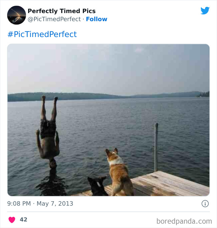 Perfectly-Timed-Pics