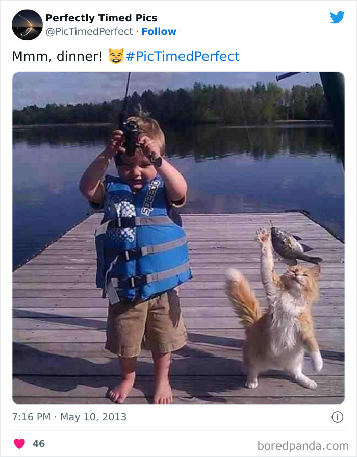 Perfectly-Timed-Pics