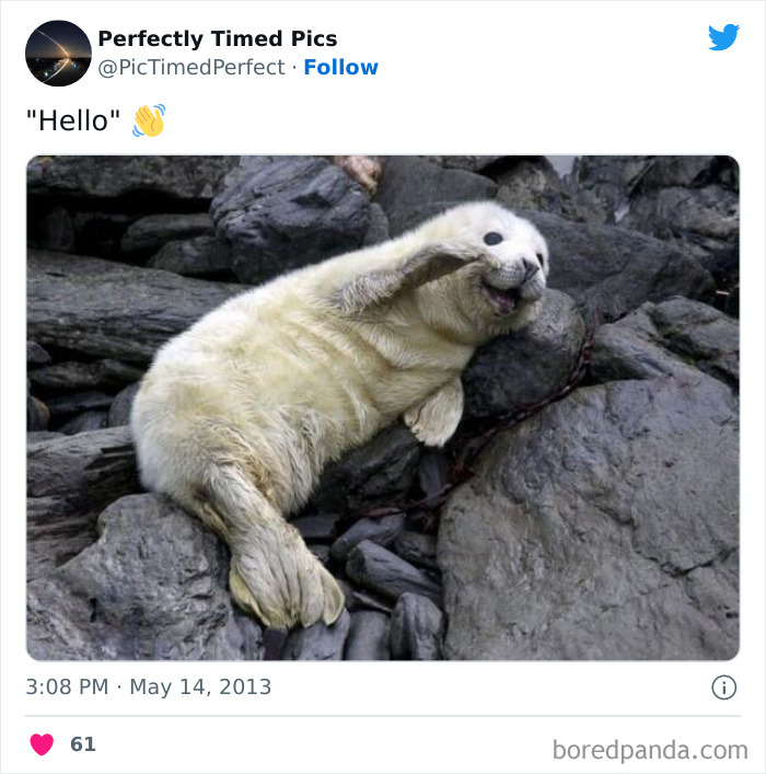 Perfectly-Timed-Pics