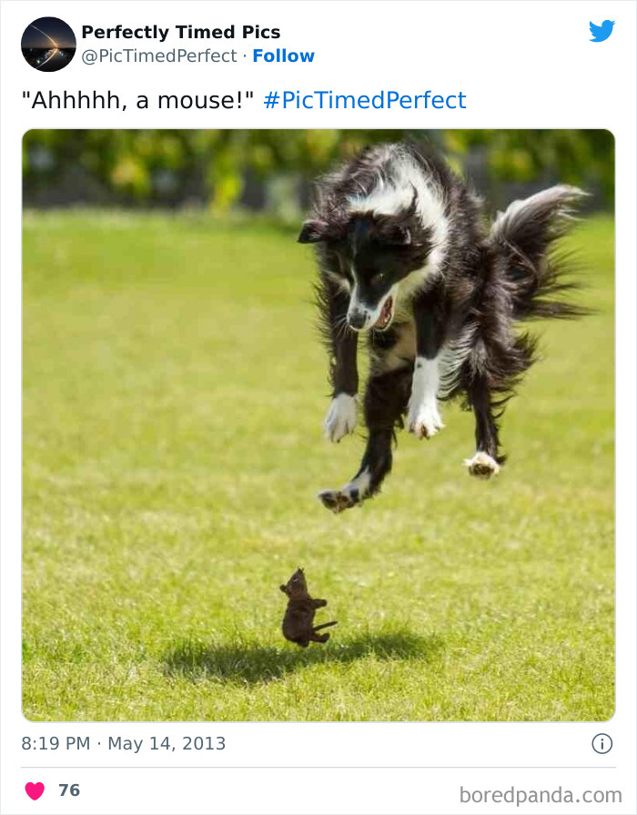 Perfectly-Timed-Pics