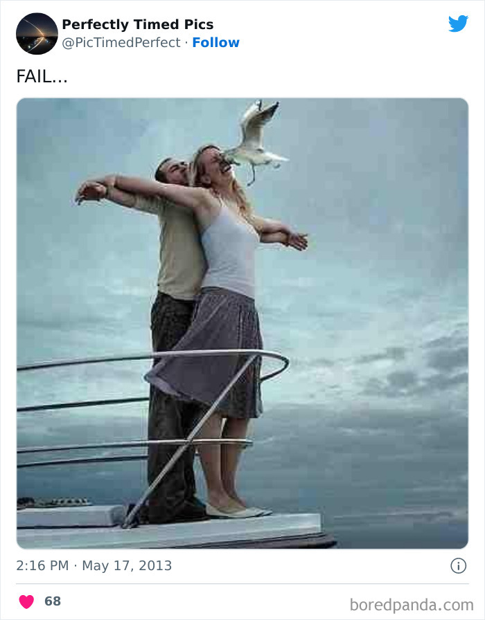 Perfectly-Timed-Pics