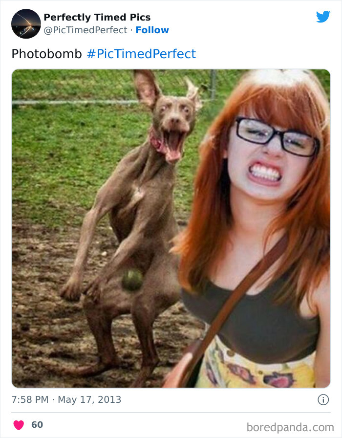 Perfectly-Timed-Pics