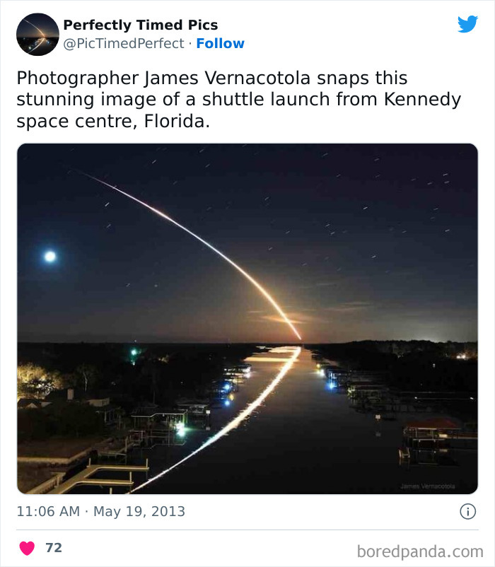 Perfectly-Timed-Pics