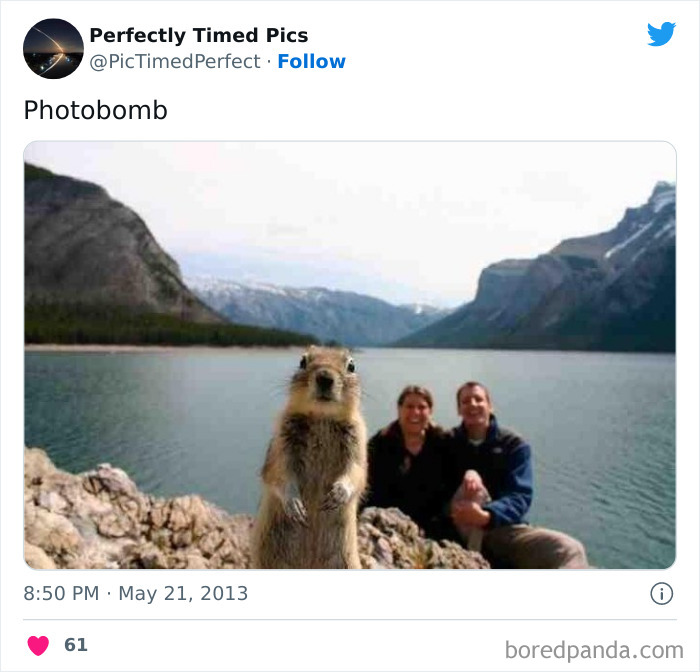 Perfectly-Timed-Pics