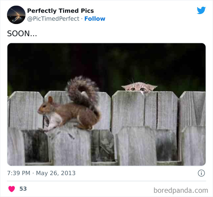 Perfectly-Timed-Pics