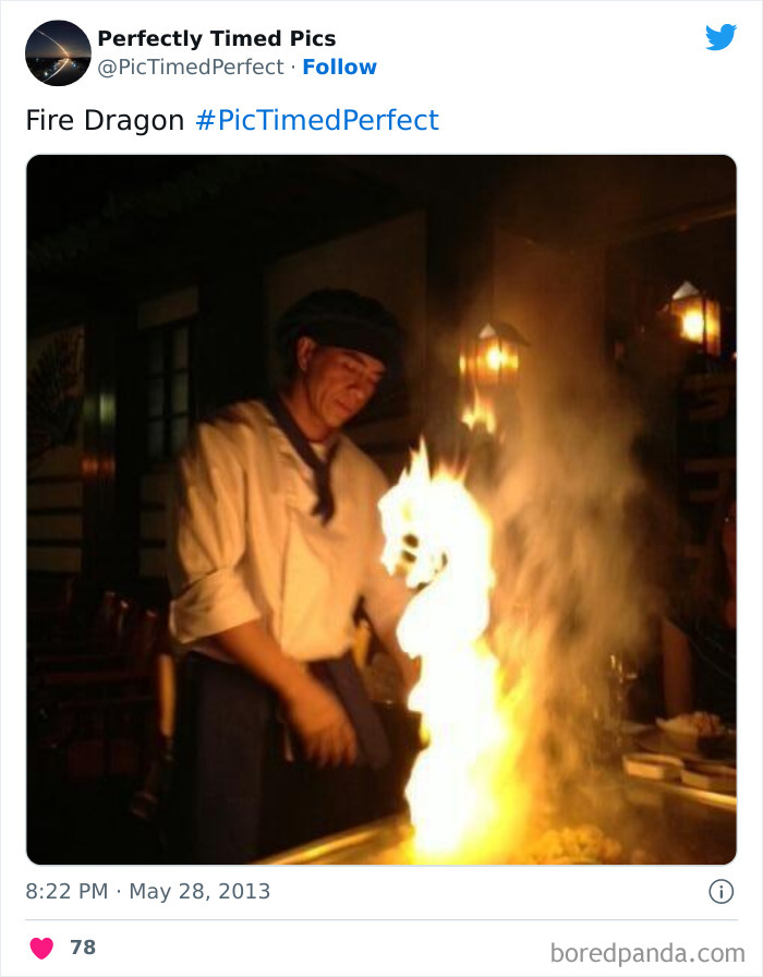 Perfectly-Timed-Pics