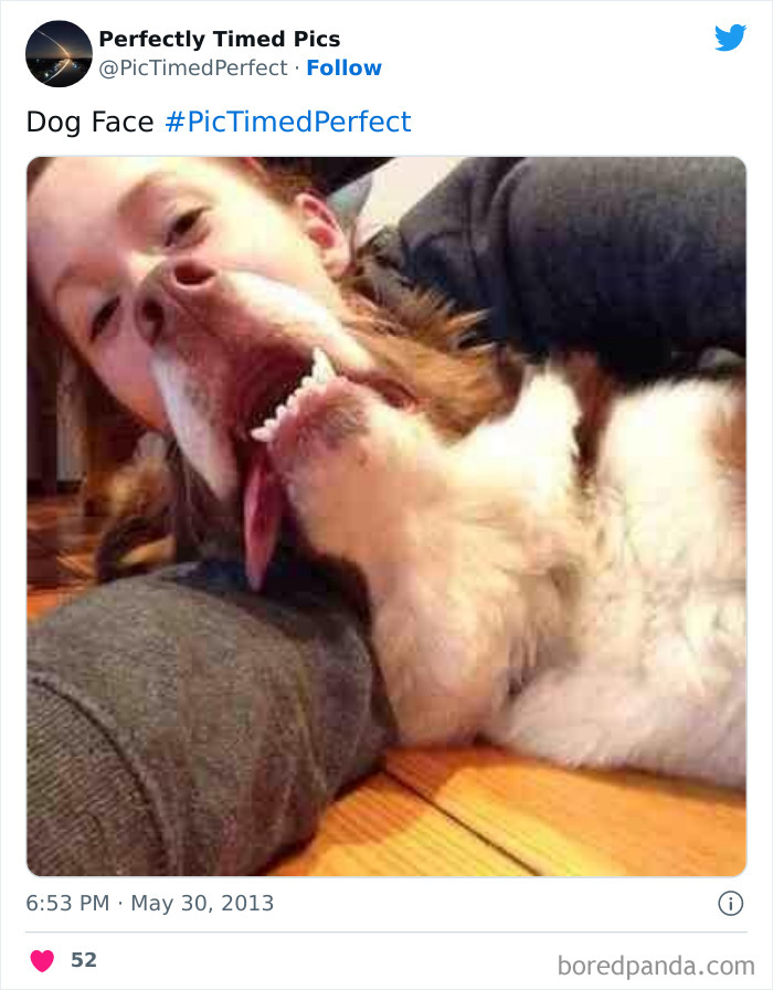 Perfectly-Timed-Pics