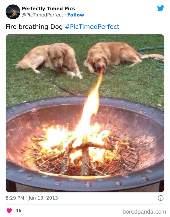 Perfectly-Timed-Pics