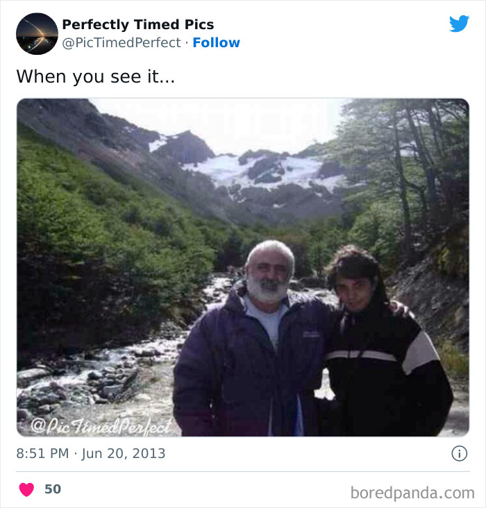 Perfectly-Timed-Pics