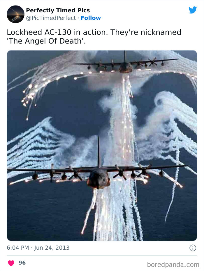 Perfectly-Timed-Pics