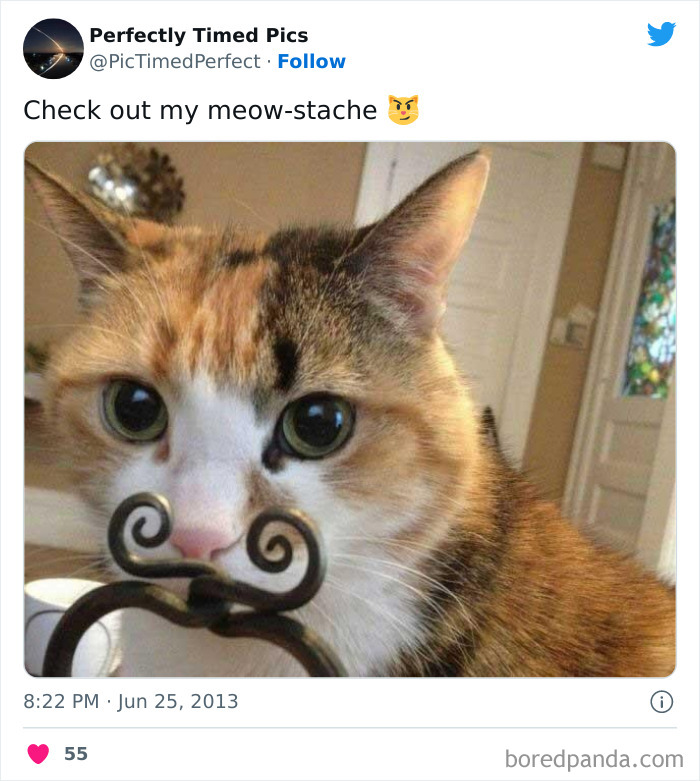 Perfectly-Timed-Pics