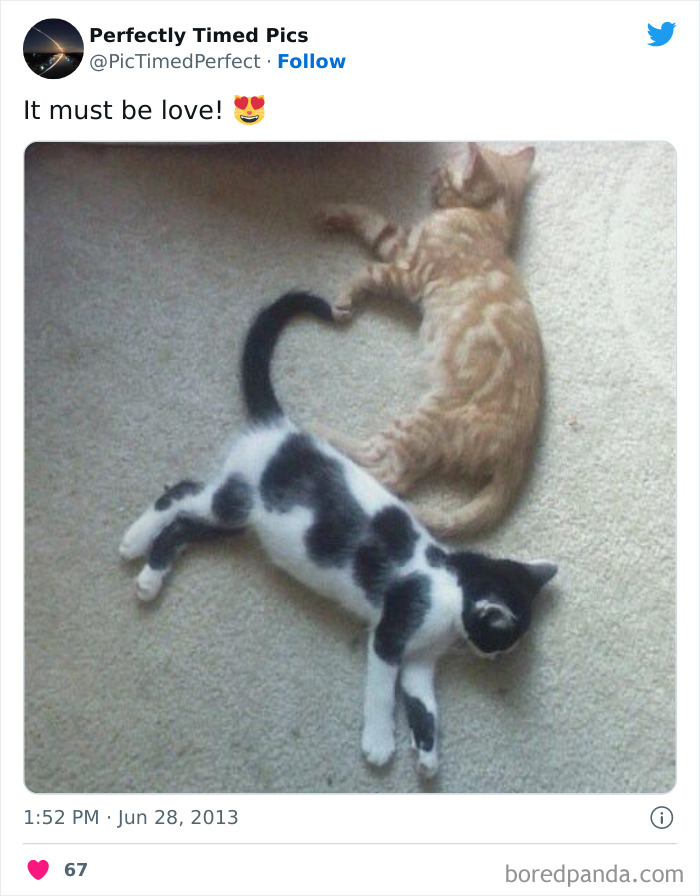 Perfectly-Timed-Pics