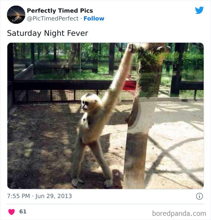 Perfectly-Timed-Pics