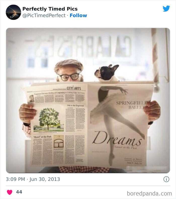 Perfectly-Timed-Pics