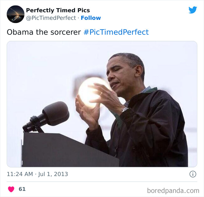 Perfectly-Timed-Pics