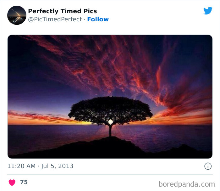 50 "Perfectly Timed Pics" That Might Make You Look Twice