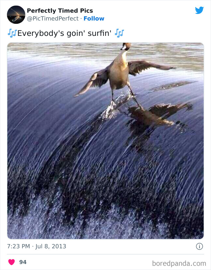 Perfectly-Timed-Pics