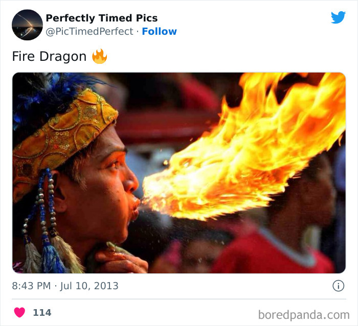 Perfectly-Timed-Pics