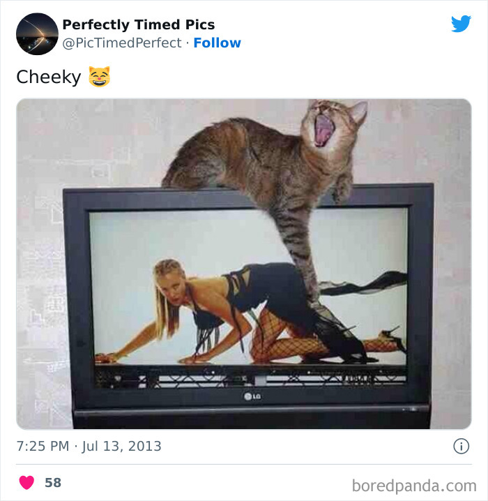 Perfectly-Timed-Pics