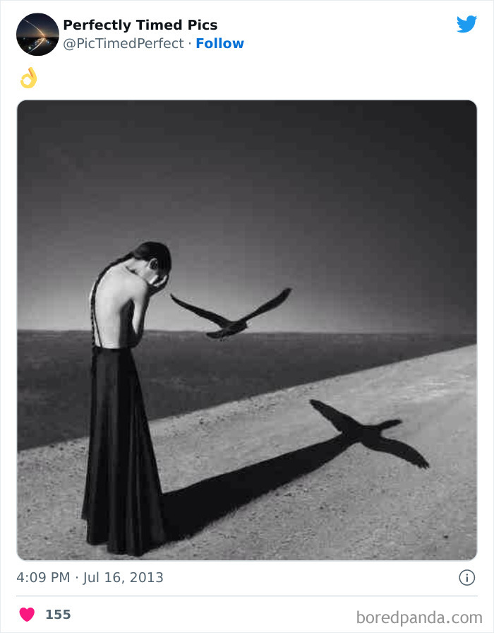 50 "Perfectly Timed Pics" That Might Make You Look Twice