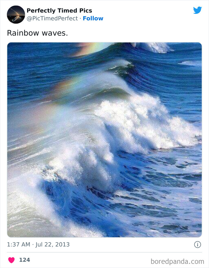 Perfectly-Timed-Pics