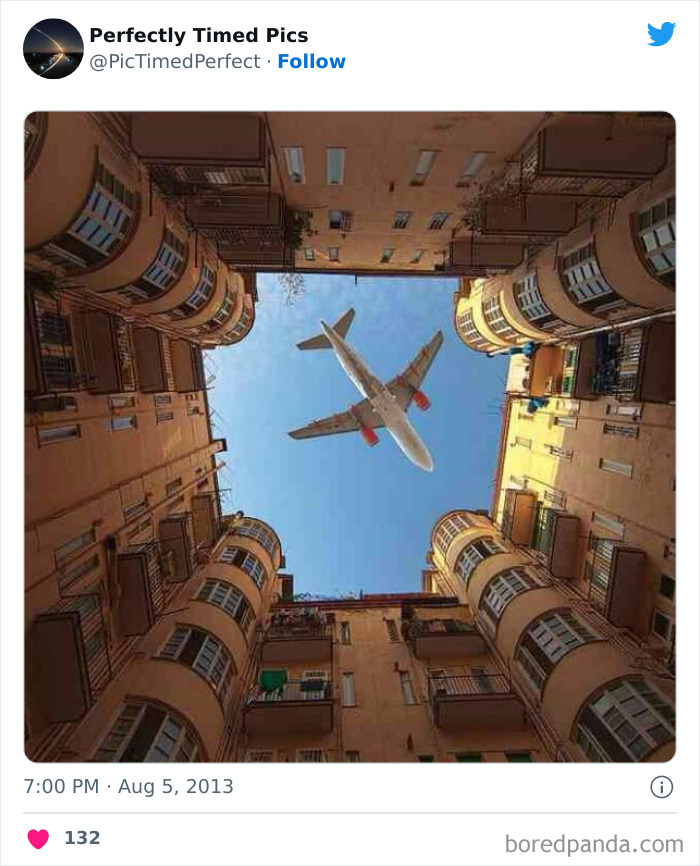 Perfectly-Timed-Pics