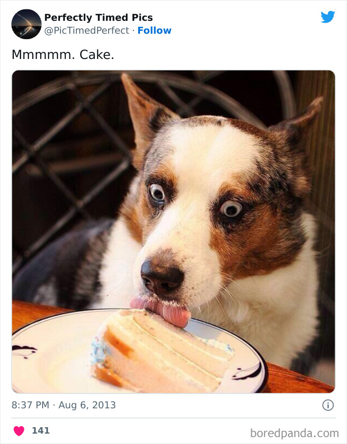 Perfectly-Timed-Pics