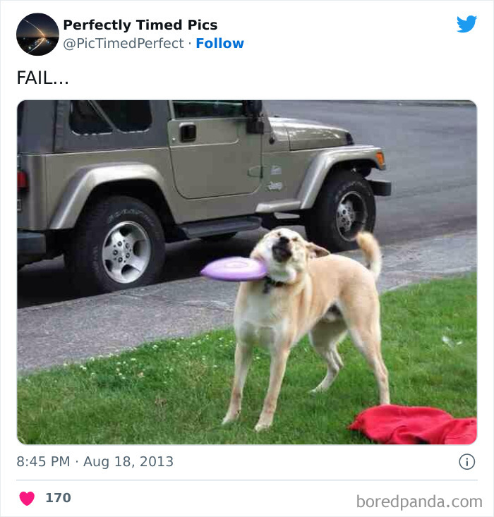 Perfectly-Timed-Pics