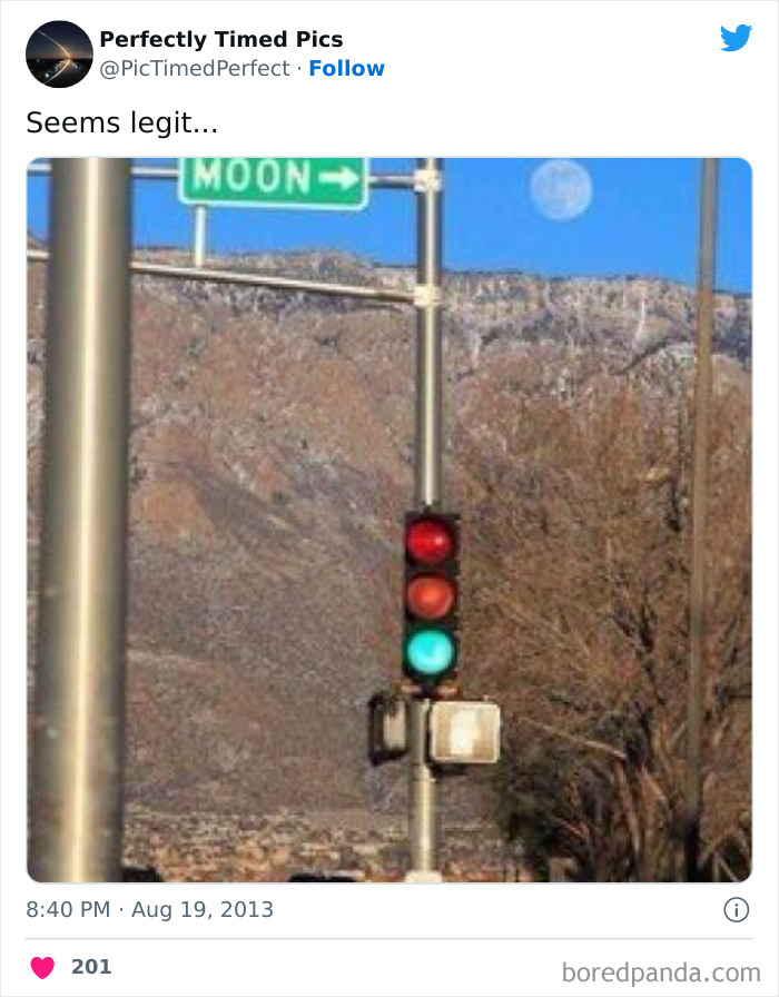 Perfectly-Timed-Pics