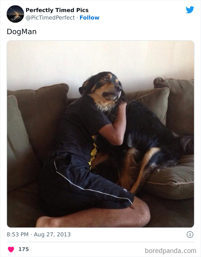 Perfectly-Timed-Pics