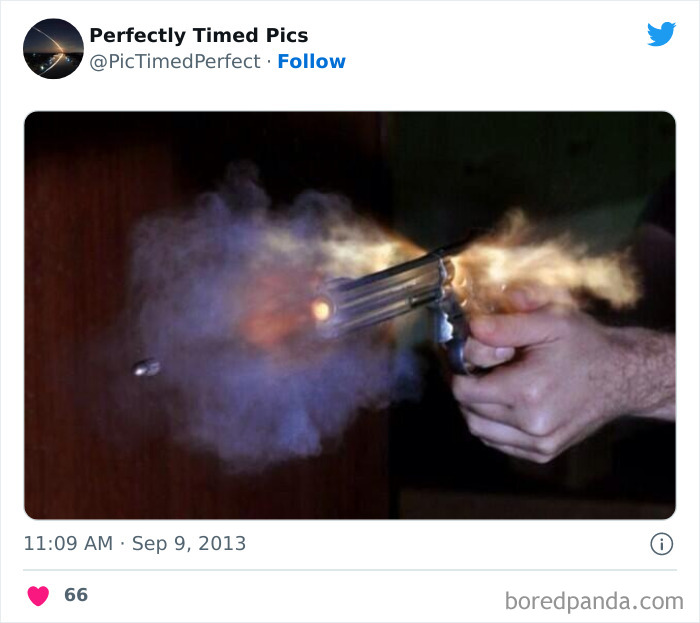 Perfectly-Timed-Pics