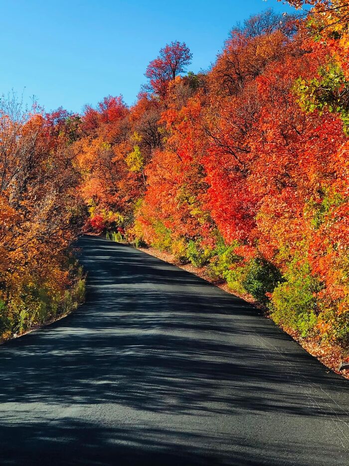 Guardsman’s Pass, Utah, USA