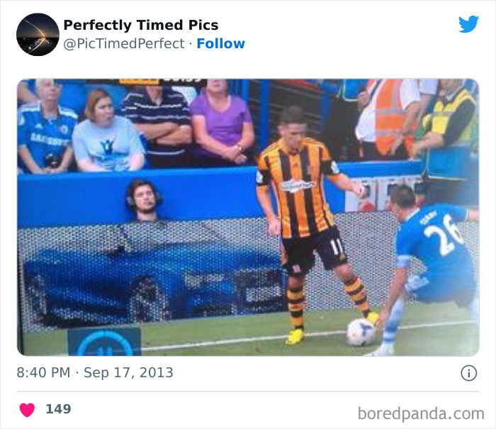 Perfectly-Timed-Pics