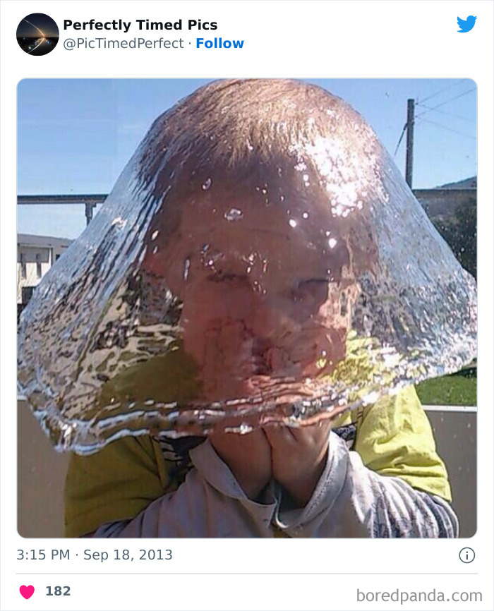 50 "Perfectly Timed Pics" That Might Make You Look Twice