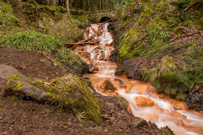 waterfall in the forest