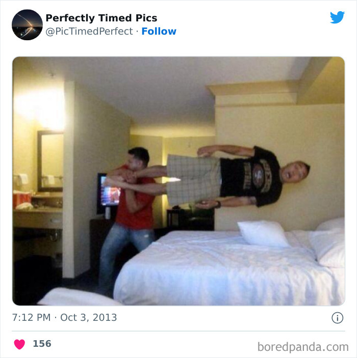 50 "Perfectly Timed Pics" That Might Make You Look Twice