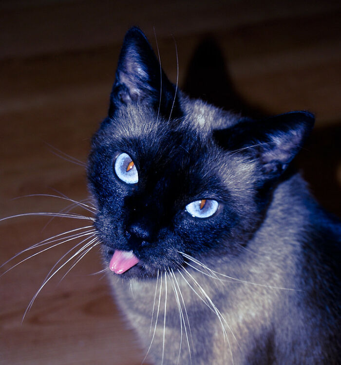 20 Realidades difíciles de aceptar que la gente reconoce y comparte sabiamente