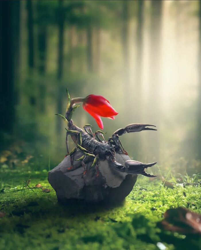 Indian Uses Photoshop To Create A Surreal And Unimaginable World (50 Pics)