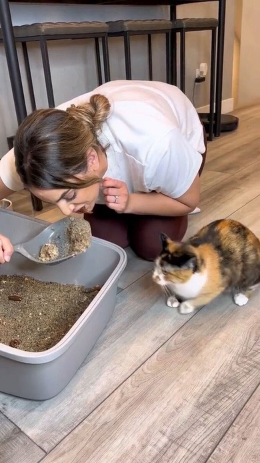 Owners Troll Their Cat And Video Goes Viral With Over 1.4 Million Views In Less Than 3 Hours Owners Troll Their Cat And Video Goes Viral With Over 1.4 Million Views In Less Than 3 Hours
