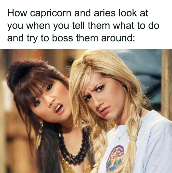 How Capricorn and Aries look at you when you tell them what to do meme