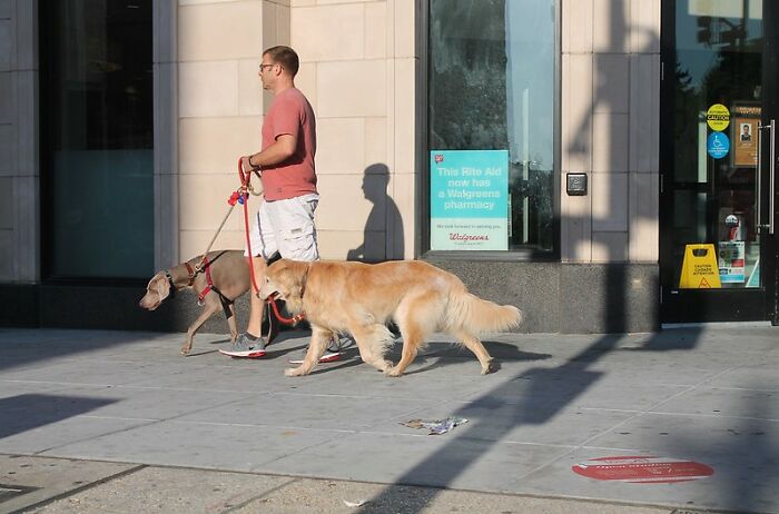 20 Realidades difíciles de aceptar que la gente reconoce y comparte sabiamente