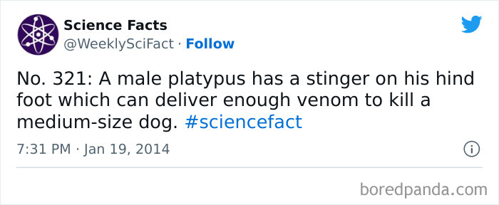 Science Facts