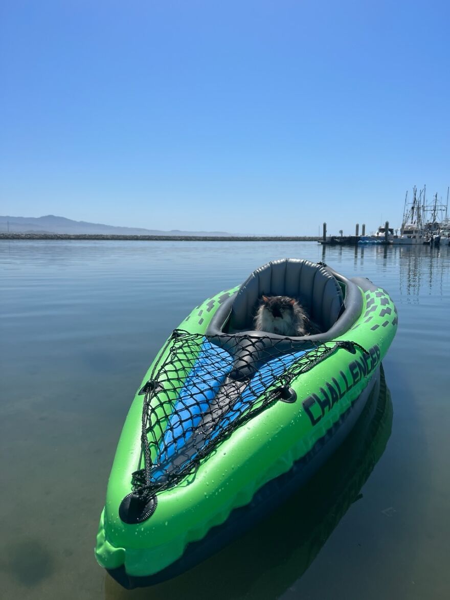 Kayaking - Half Moon Bay Is Her Favorite